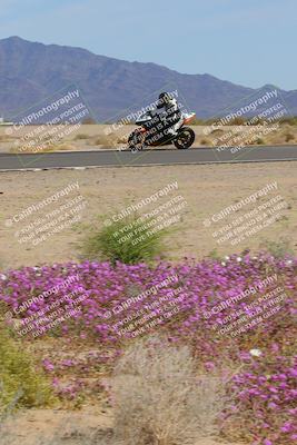 media/Mar-12-2023-SoCal Trackdays (Sun) [[d4c8249724]]/Turn 15 Inside Bloom (130pm)/